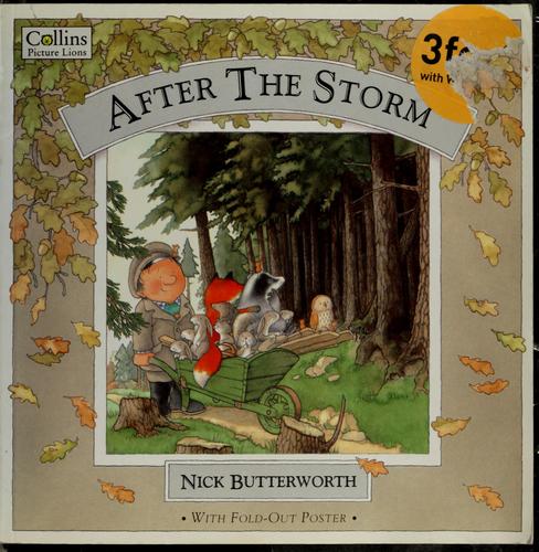 After the Storm