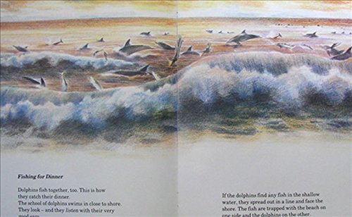 Dolphins