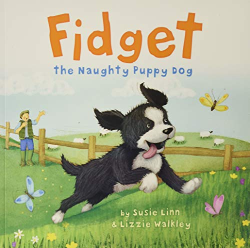 Fidget (Picture Storybooks)