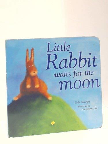 Little Rabbit wais for the Moon