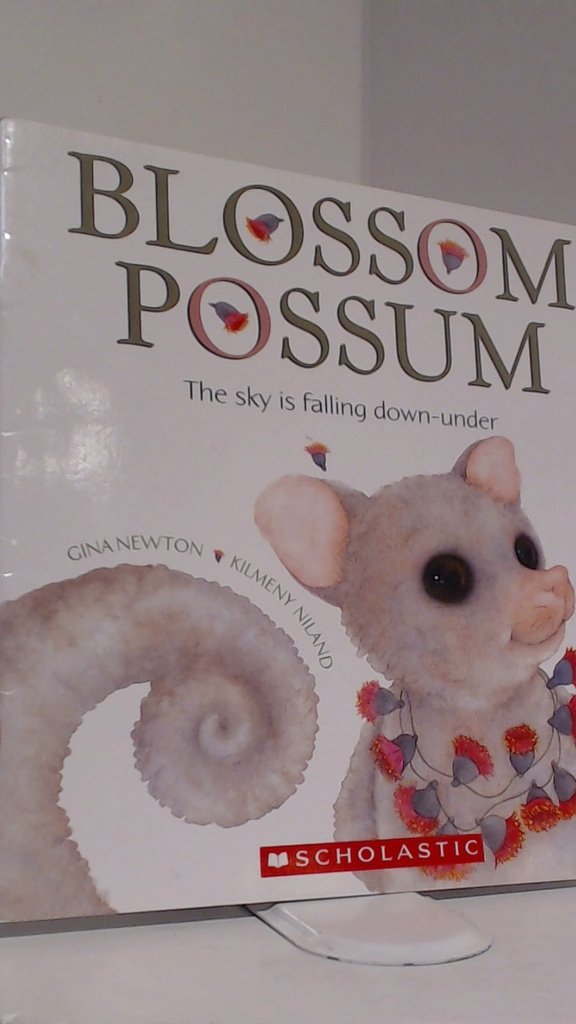 Blossom Possum