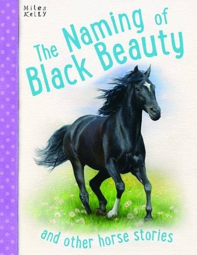 Horse Stories - The Naming of Black Beauty