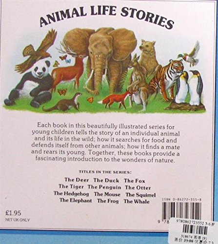 The Duck (Animal Life Stories)