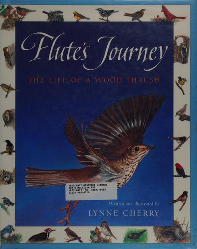 Harcourt School Publishers Collections: Chapter Book Grade 4 Flute's Journey
