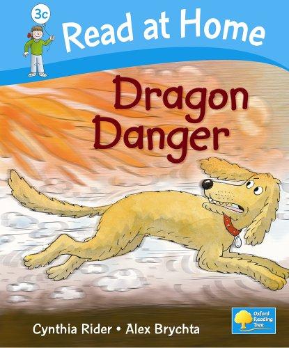 Dragon Danger (Read at Home, Level 3C)