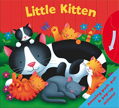 Little Kitten (Who am I?)
