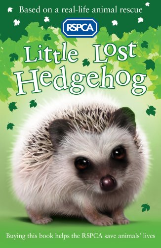 Little Lost Hedgehog