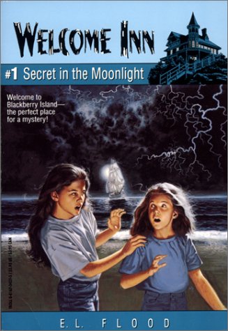 Secret in the Moonlight (Welcome Inn Series)