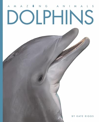Amazing Animals: Dolphins
