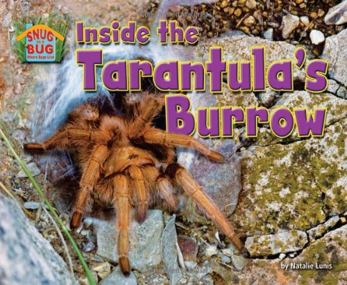 Inside the Tarantula's Burrow (Snug as a Bug: Where Bugs Live)