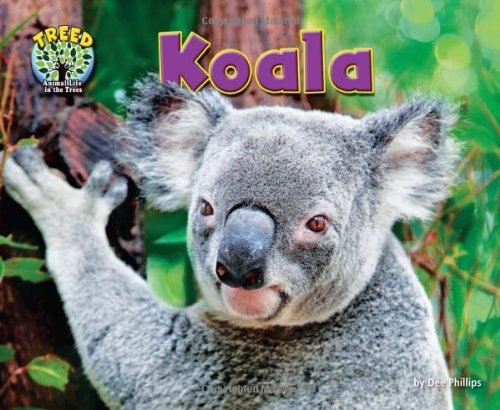 Koala (Treed: Animal Life in the Trees)