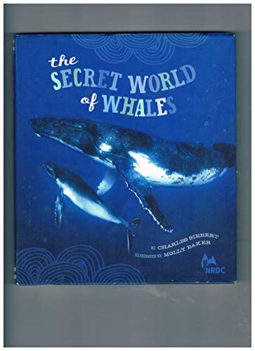 NRDC The Secret World of Whales