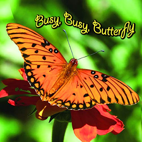 Busy, Busy Butterfly (Rourke Board Books)