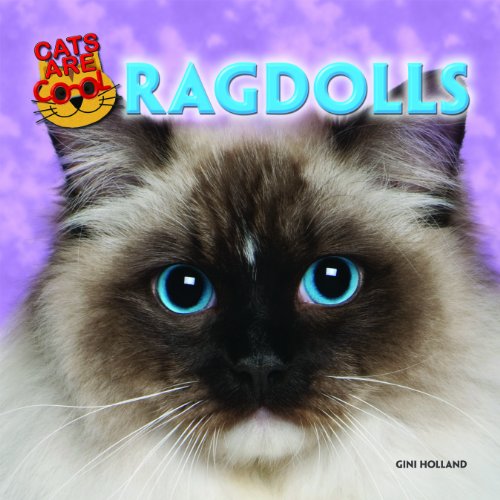 Ragdolls