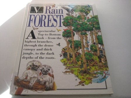 Rainforest (New View)