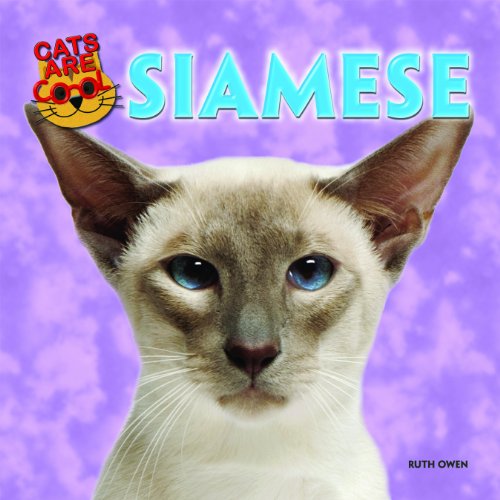 Siamese