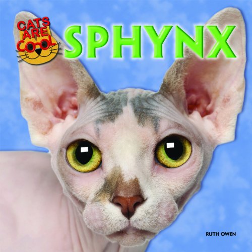 Sphynx
