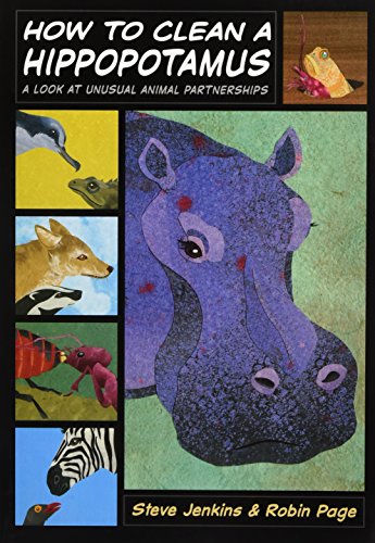 How to Clean a Hippopotamus: A Look at Unusual Animal Partnerships