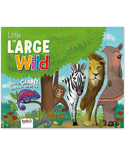 Little to Large Wild Animals