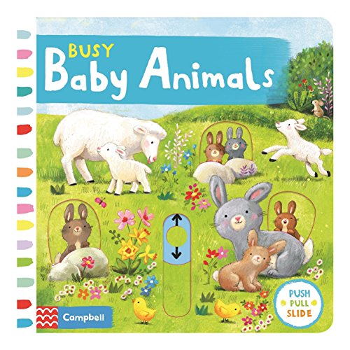 Busy Baby Animals (Busy Books)
