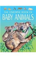 Baby Animals: Young Nature