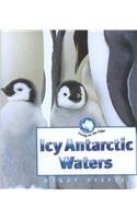 Icy Antarctic Waters