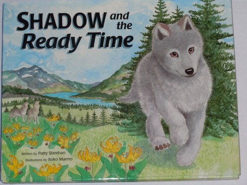 Shadow and the Ready Time