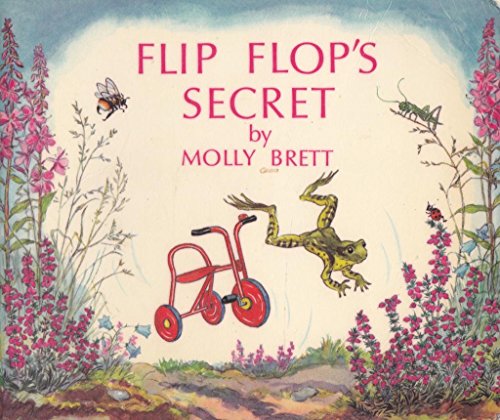 Flip Flop's Secret (Medici Books for Children Bl)
