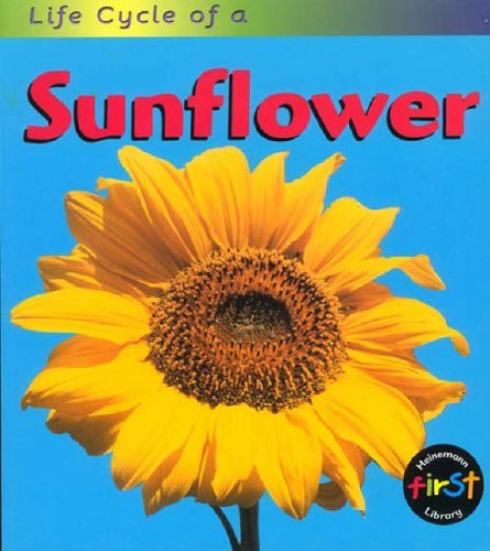 Life Cycle of a Sunflower