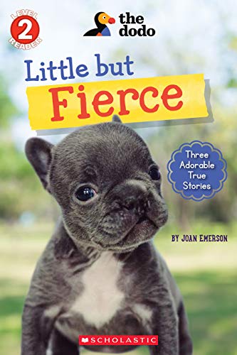 Little But Fierce (the Dodo: Scholastic Reader, Level 2)