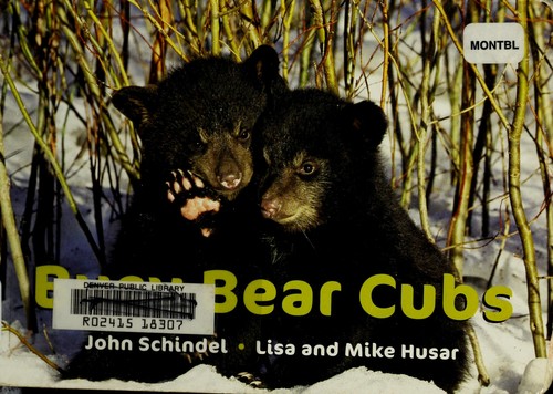 Busy Bear Cubs (A Busy Book)