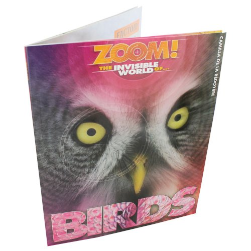 Birds - Zoom The Invisible World