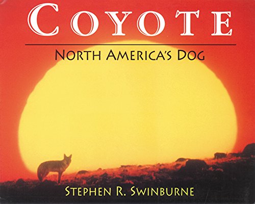 Coyote: North America?s Dog