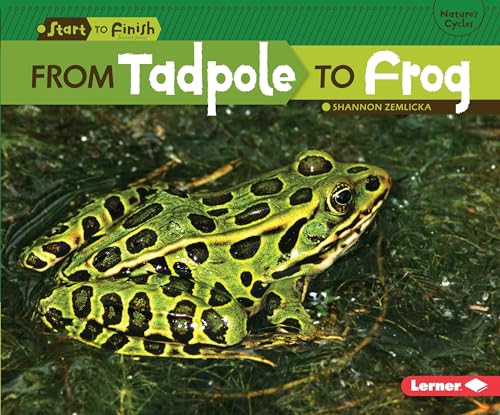 From Tadpole to Frog (Start to Finish, Second)
