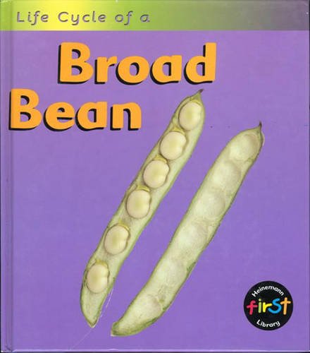 Life Cycle of a Broad Bean