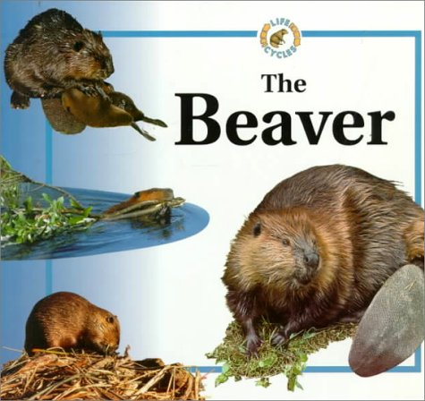 Life Cycle of the Beaver
