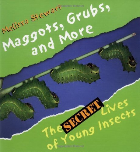 Maggots, Grubs, And More: The Secret Lives of Young Insects