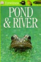 Pond and River