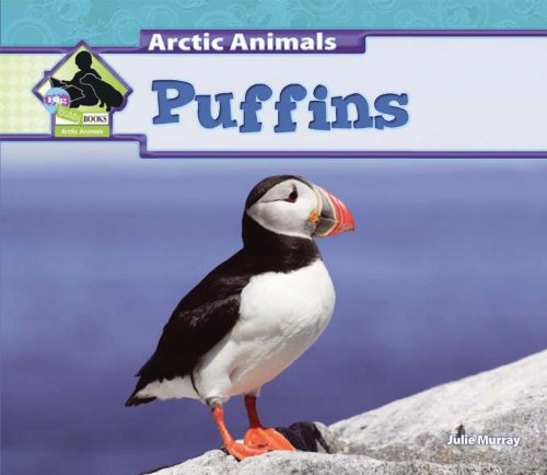 Puffins (Arctic Animals)