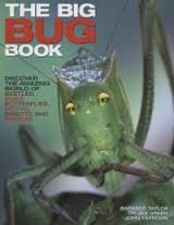 The Big Bug Book: Beetle, Bugs, Butterflies, Moths, Insects and Spiders