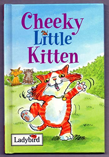 Cheeky Little Kitten (Little Stories)