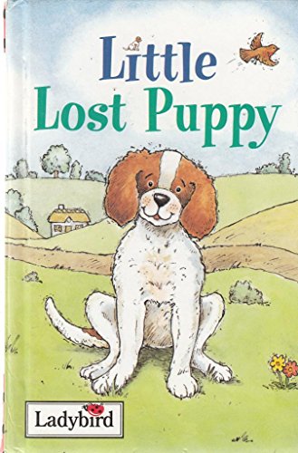 Little Lost Puppy (Little Stories)