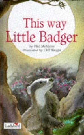 Picture Stories This Way Little Badger