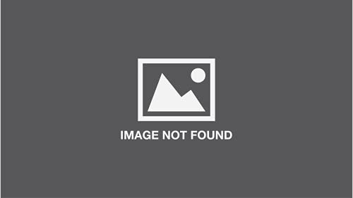 The Disney Pixar the Good Dinosaur