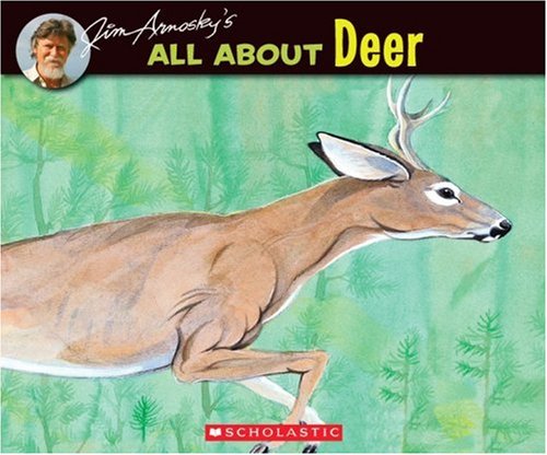 All About Deer (All About Series)