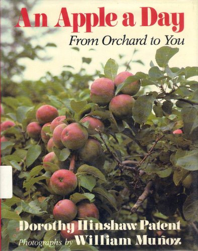 An Apple A Day