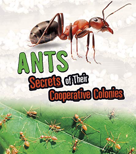 Ants: Secrets of Their Cooperative Colonies (Fact Finders: Amazing Animal Colonies)