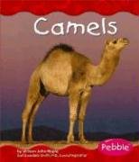 Camels