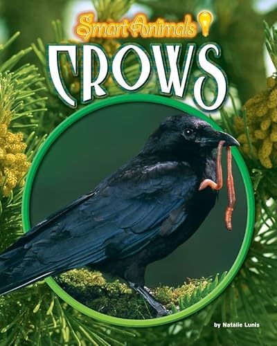 Crows (Smart Animals)
