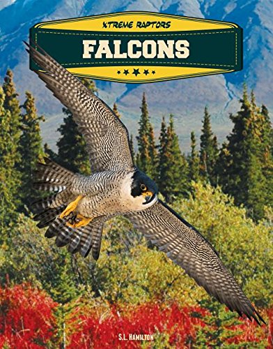 Falcons